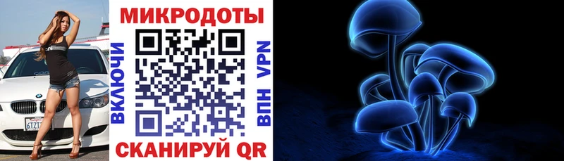 Галлюциногенные грибы прущие грибы  Сыктывкар 