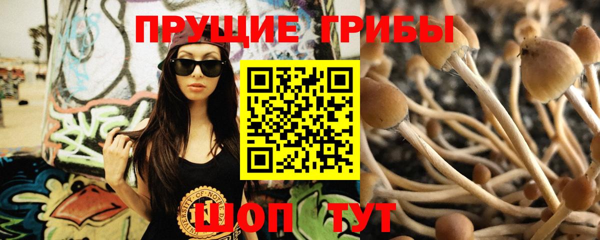 Галлюциногенные грибы MAGIC MUSHROOMS Сыктывкар